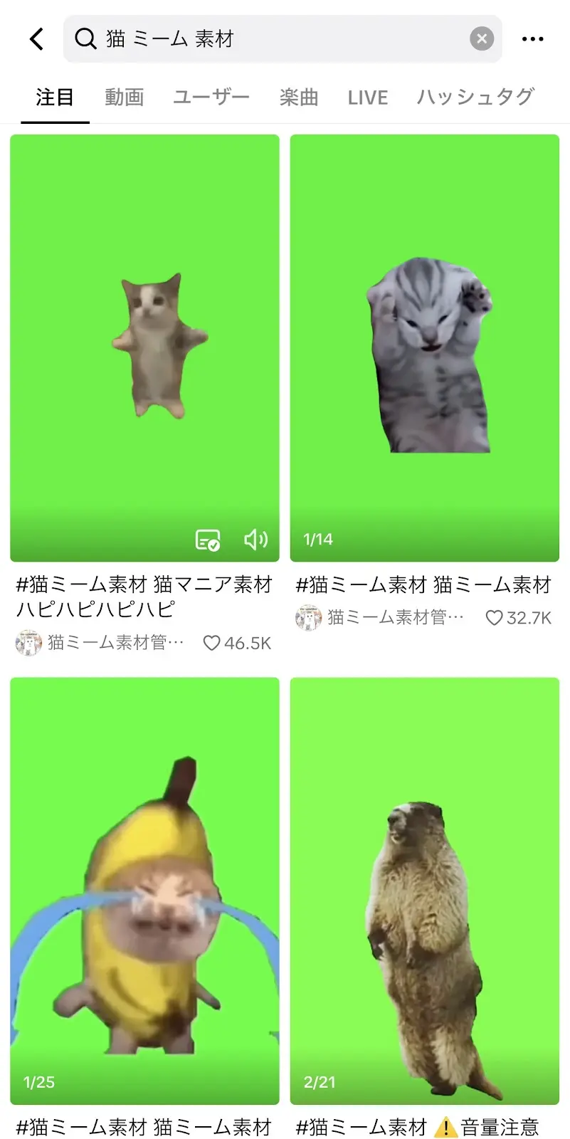 猫ミーム素材