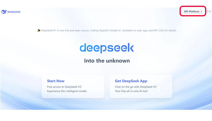 DeepSeek API