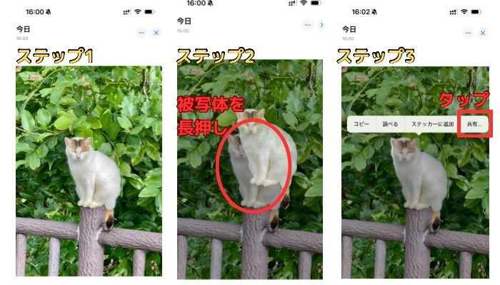 iPhoneだけで写真をアプリなしで切り抜きする手順-1