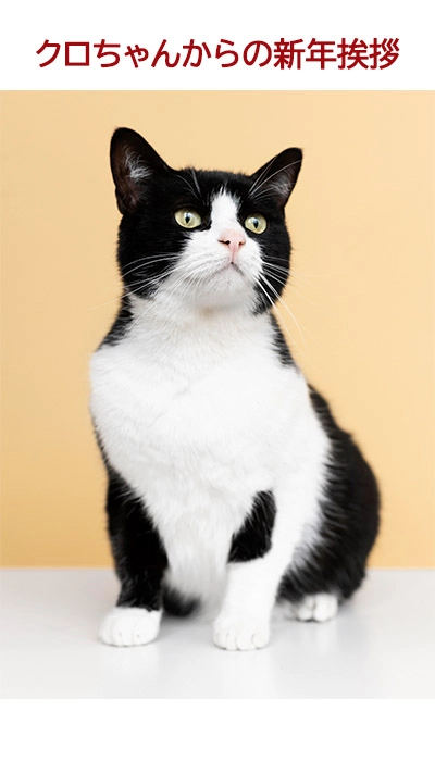 ペットの写真が「喋って」ライン年賀状に